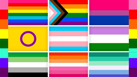 bandera de heteros|Conoce todas las banderas LGTBI incluyendo a la de。